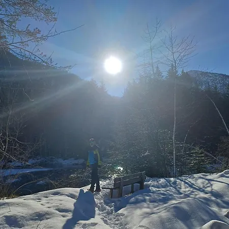 Haus Kohler Apartmán Häselgehr