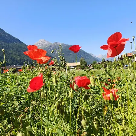 Haus Kohler Apartmán