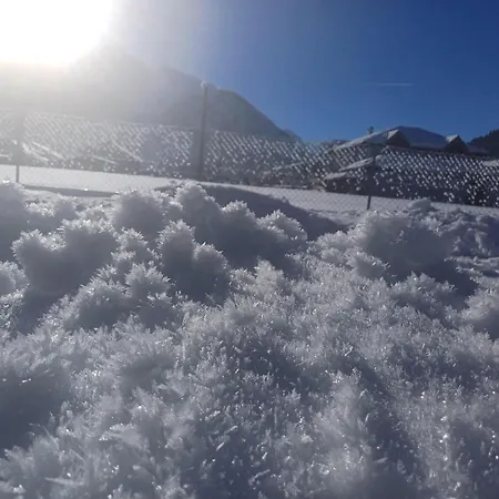 Haus Kohler Apartment Häselgehr