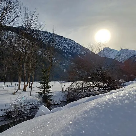 Haus Kohler Apartment Häselgehr