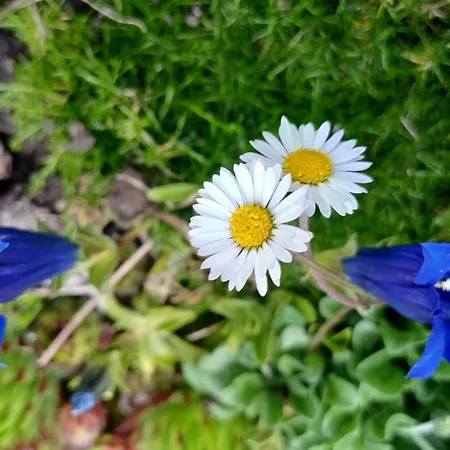 Apartment Haus Kohler