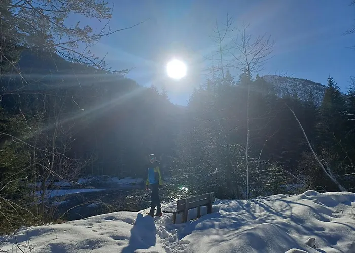 Haus Kohler Апартаменты Haeselgehr